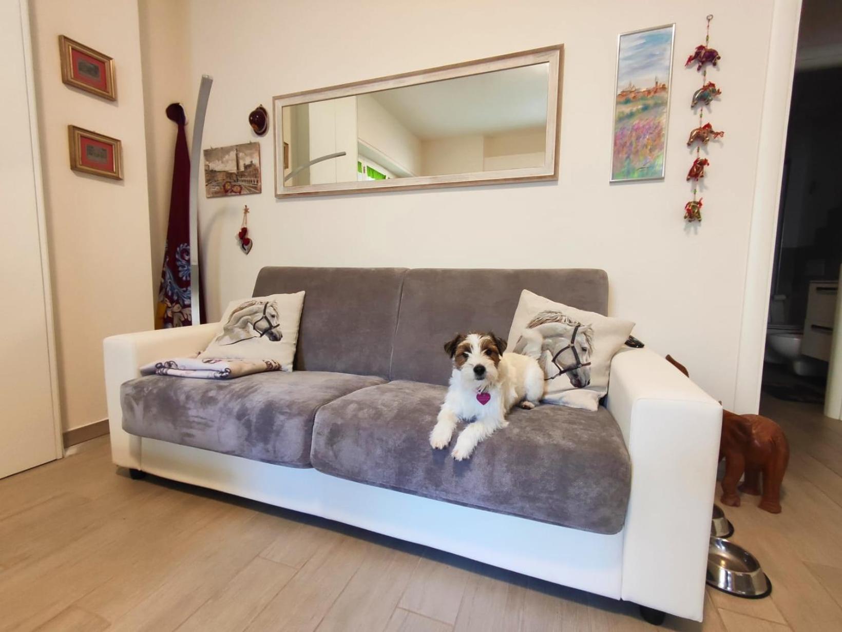 锡耶纳La Casina Di Agostino公寓 外观 照片